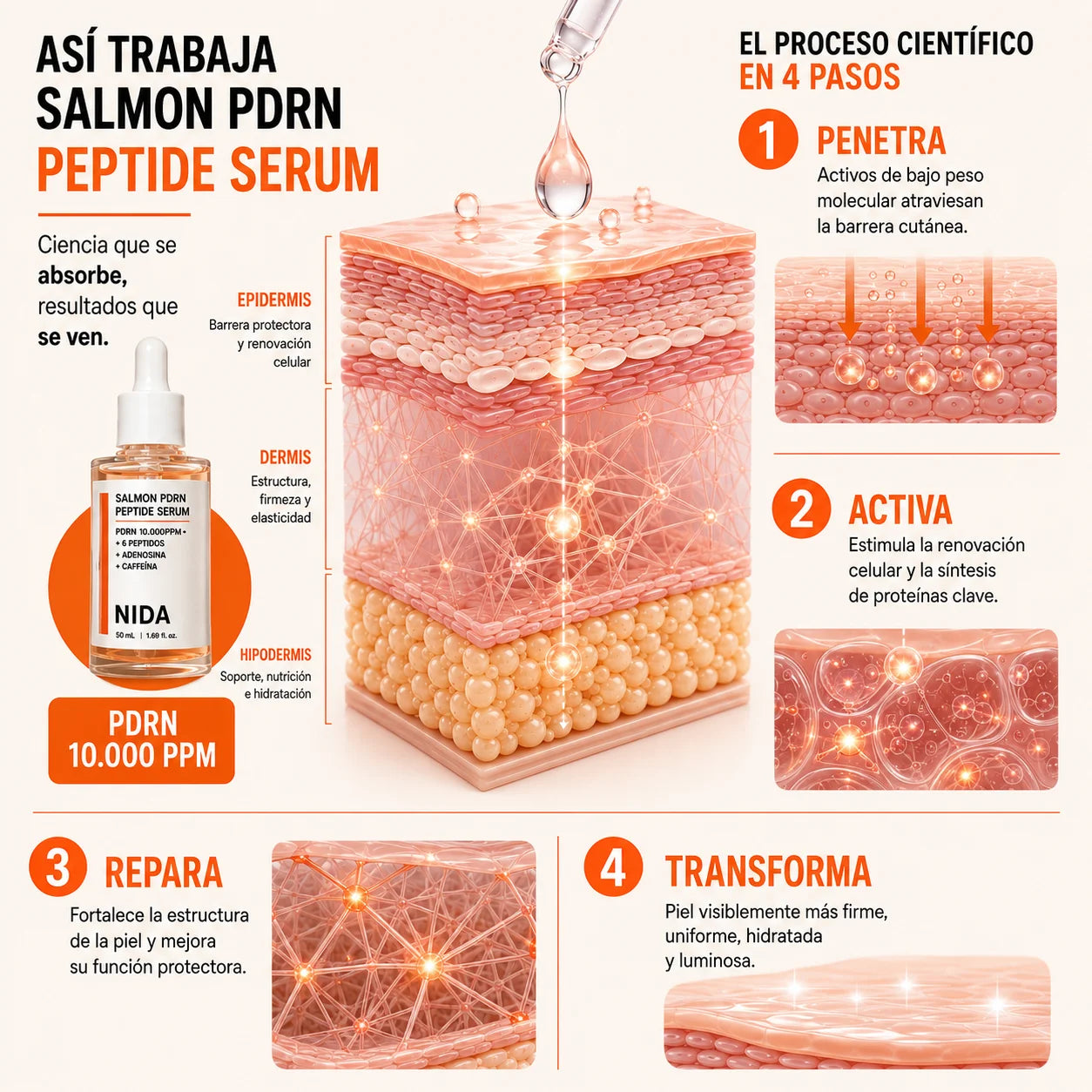SÉRUM PDRN DE SALMÓN  | Tensa y Rellena lineas de expresión en Semanas